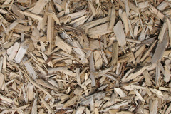 biomass boilers Coed Y Paen