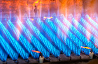 Coed Y Paen gas fired boilers